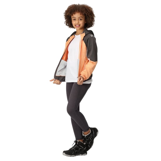 Regatta Childrens/Kids Prenton II Hooded Soft Shell Jacket (Apricot Crush/Seal Grey)