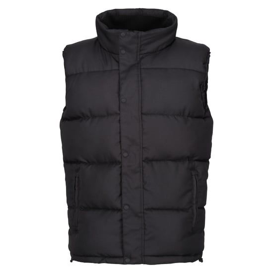 Regatta Mens Northdale Insulated Gilet (Black)