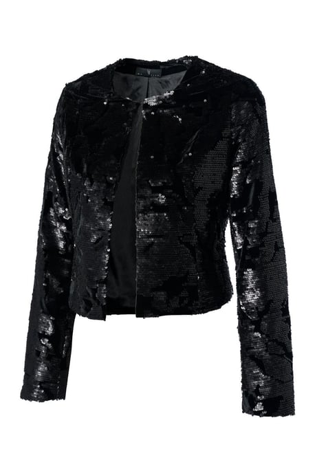 Roselle Blazer Zwart