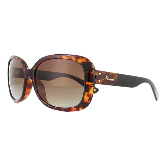 Polaroid Butterfly Womens Havana Brown Gradient Polarized Sunglasses