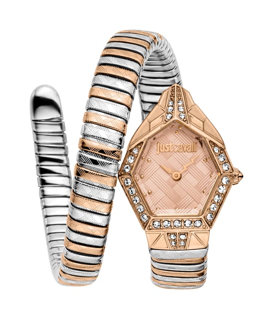 Ornato Snake Rose Gold Dial Stainless Steel Analogue Wrist Watch for Women