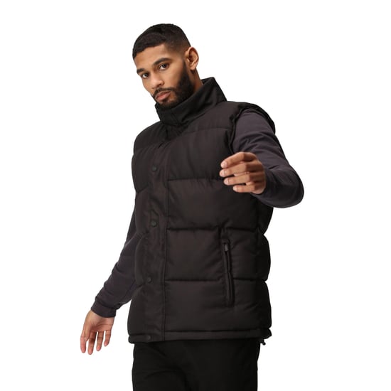 Regatta Mens Northdale Insulated Gilet (Black)