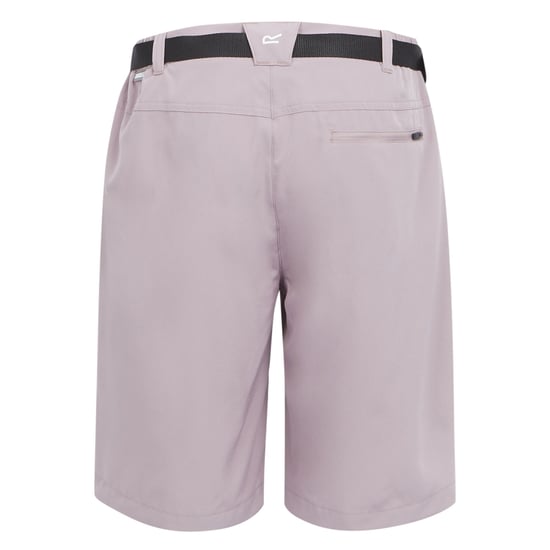 Regatta Dames/Dames Xert Stretch Shorts (Heide) - Image 2