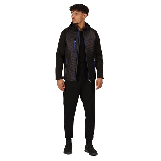 Regatta Mens Navigate Quilted Hybrid Jacket (Black/New Royal)