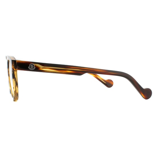Moncler Round Havana Mens  Glasses Frames