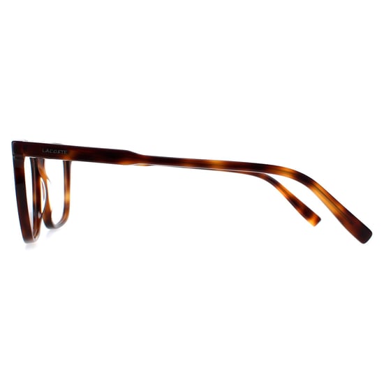 Lacoste Square Unisex Brown Havana Burgundy Glasses