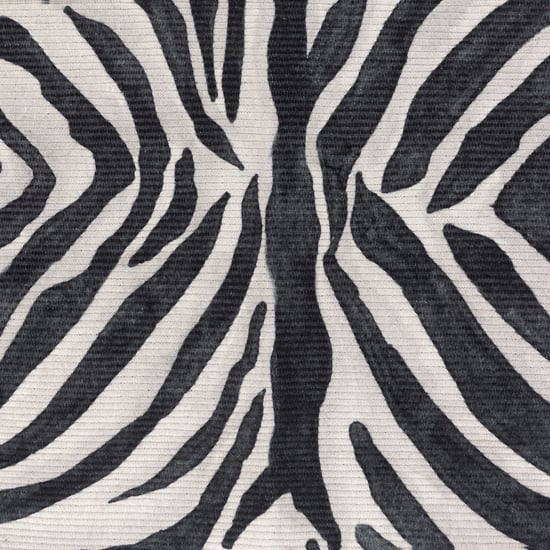 Paoletti Leopardis Zebra Geprinte Binnen/Buiten Vloerkleed - Image 2