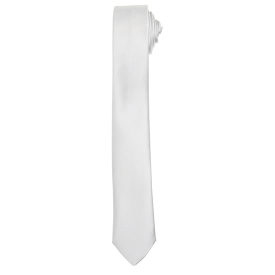 Premier Unisex Adult Slim Tie (Silver)