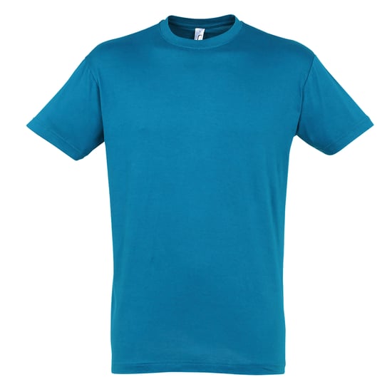 SOLS Heren Regent T-Shirt met korte mouwen (Blauw Atol) - Image 1