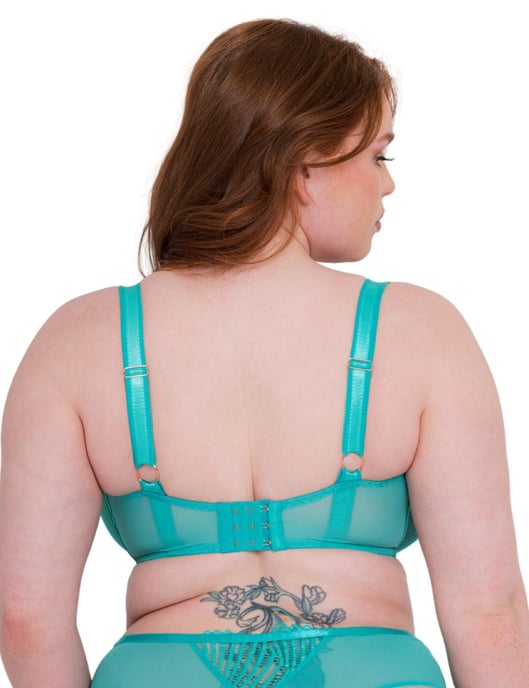 Scantilly by Curvy Kate Authority Balcony - Image 2