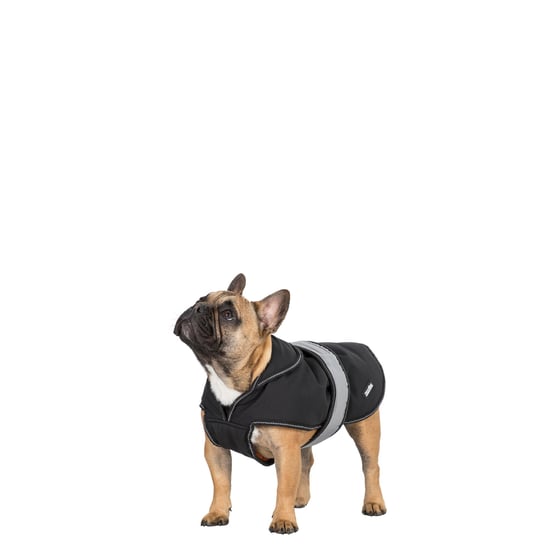Trespass Butch Touch Fastening Softshell Dog Jacket (Black)