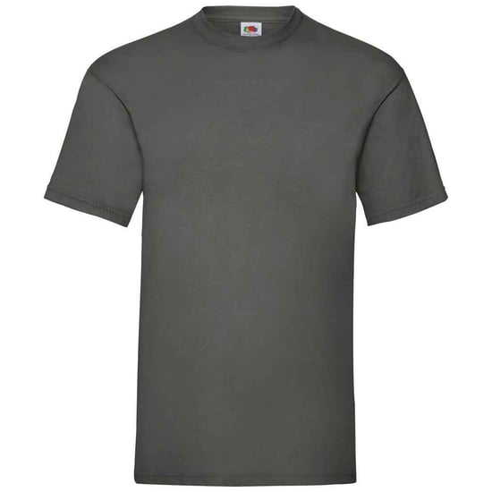 Fruit of the Loom Heren Valueweight T-Shirt (Licht Grafiet) - Image 1
