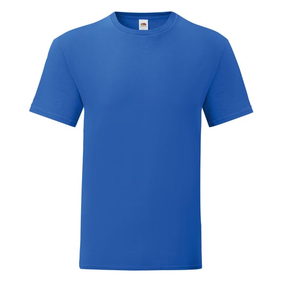 Fruit Of The Loom Mens Iconic T-Shirt (Royal Blue)