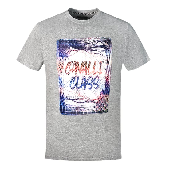 Cavalli Class Box Logo Grijze T-Shirt - Image 1