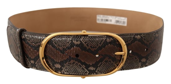 Dolce & Gabbana Women's Brown Exotic Leather Gold Oval Buckle Belt