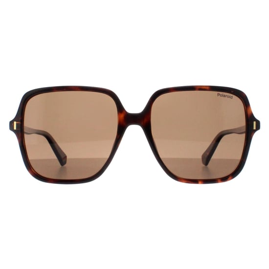 Polaroid Square Womens Havana Bronze Polarized PLD 6219/S