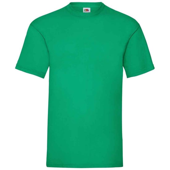 Fruit of the Loom Heren Valueweight T-Shirt (Kelly Groen) - Image 1