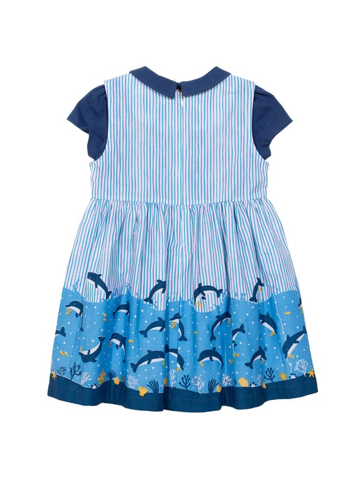 Kite Clothing Dolphin Dive Set