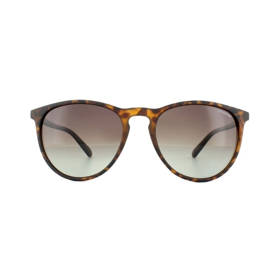 Polaroid Cat Eye Womens Havana Brown Gradient Polarized Sunglasses