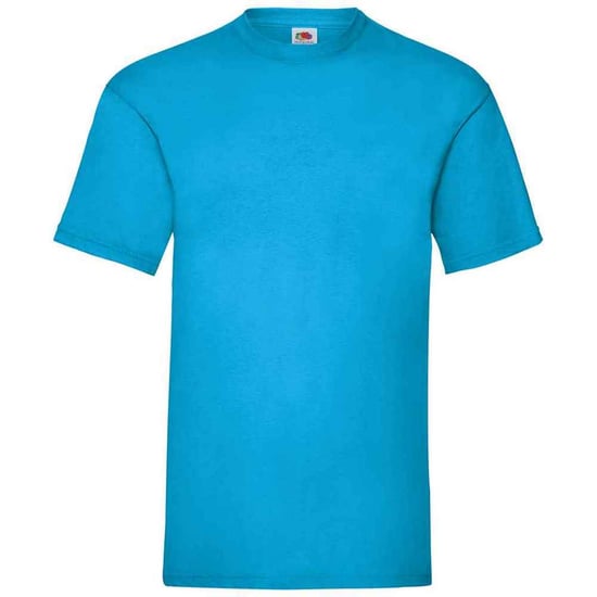 Fruit of the Loom Heren Valueweight T-Shirt (Azuurblauw) - Image 1