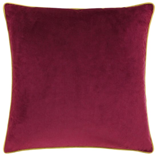 Paoletti Meridian Piped Velvet Feather Filled Cushion