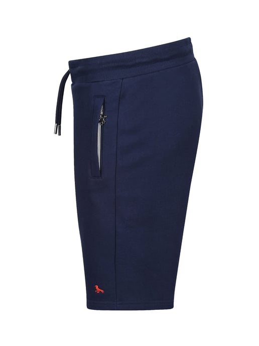 Modern Amusement Men's Bergamot Station Shorts in Navy