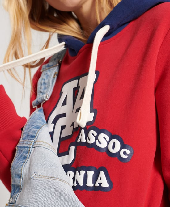 Superdry Vintage Colour Block Hoodie