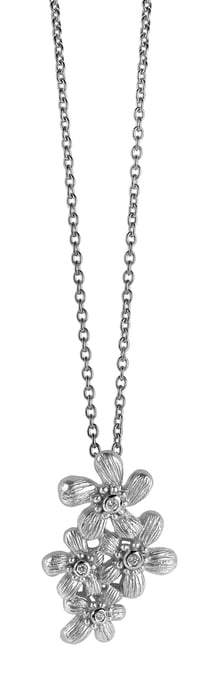 Orphelia Women's 925 Sterling Silver Set: Chain-Pendant + Earrings - Silver SET-6026