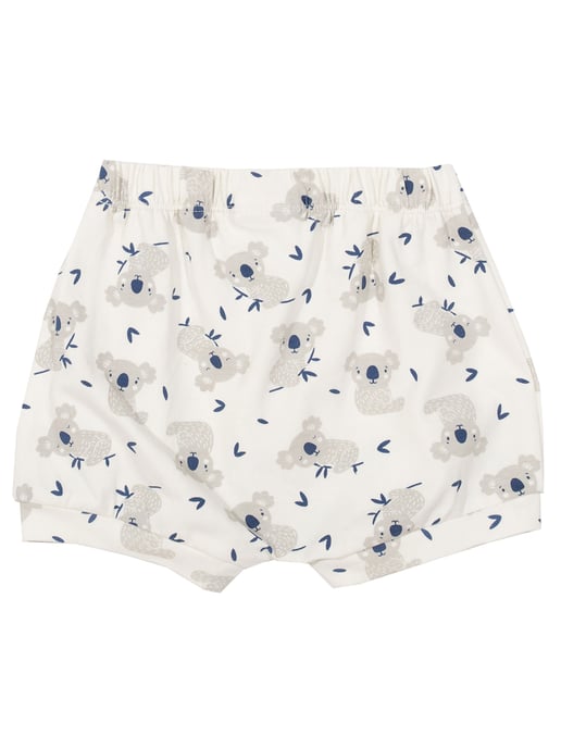 Kite Clothing Little Joey Shorts