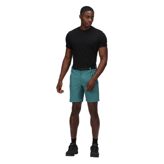 Regatta Heren Xert III Stretch Shorts (Pacifisch Groen) - Image 6