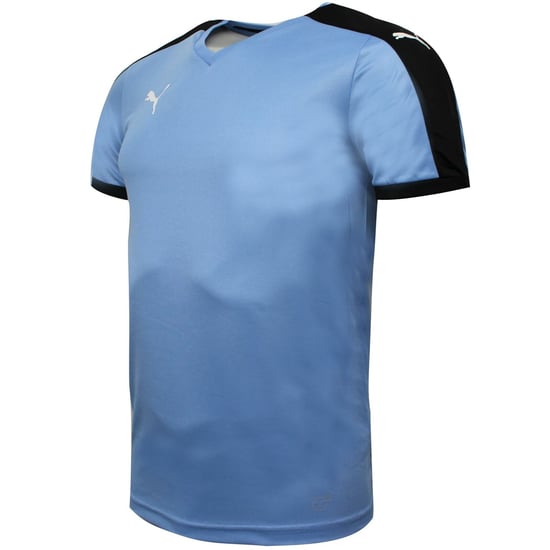 Puma Pitch Short Sleeved Shirt Training Gym T-Shirt Blue - Mens