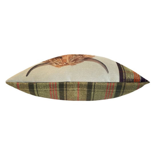 Evans Lichfield Hunter Hoogland Rund Rechthoekig Tartan Veren Kussen - Image 3