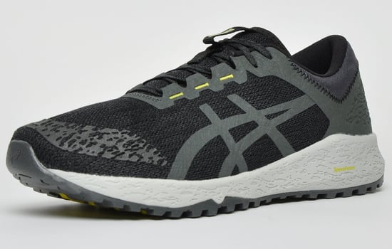 Asics Alpine XT All Terrain Mens