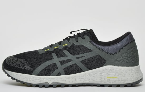 Asics Alpine XT All Terrain Mens