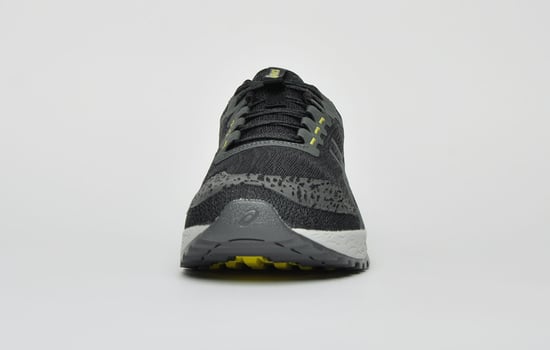Asics Alpine XT All Terrain Mens