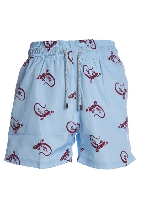 Men's Blue Gecko Swim Shorts