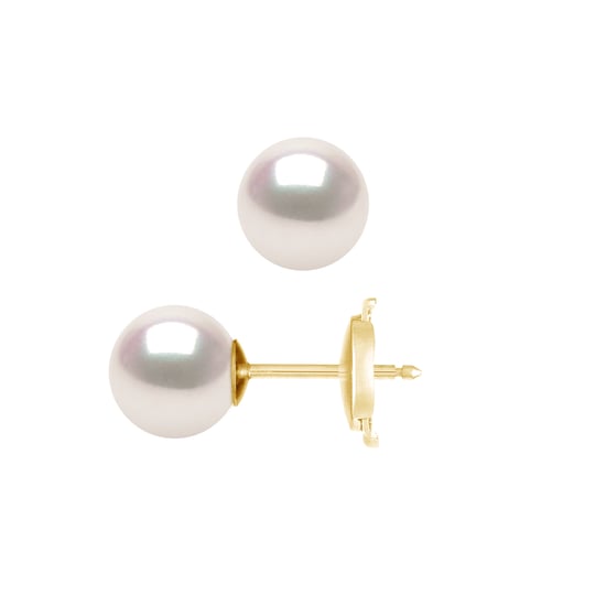 DIADEMA - Earrings - True Japanese Akoya Cultured Pearl - Quality AA+