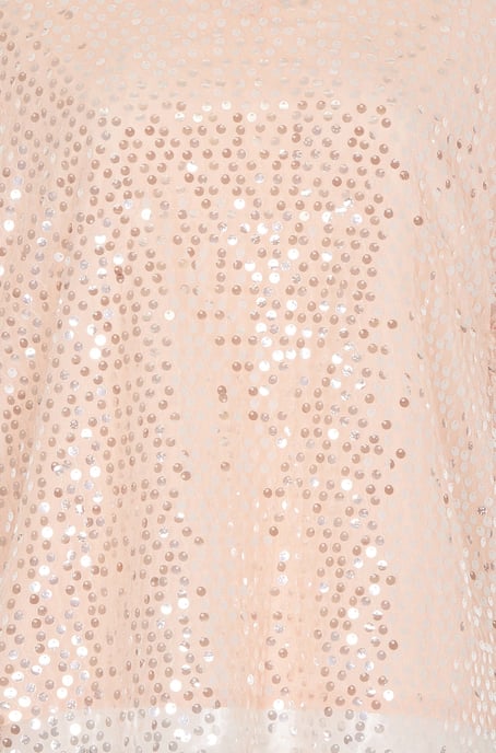 Sequin Top