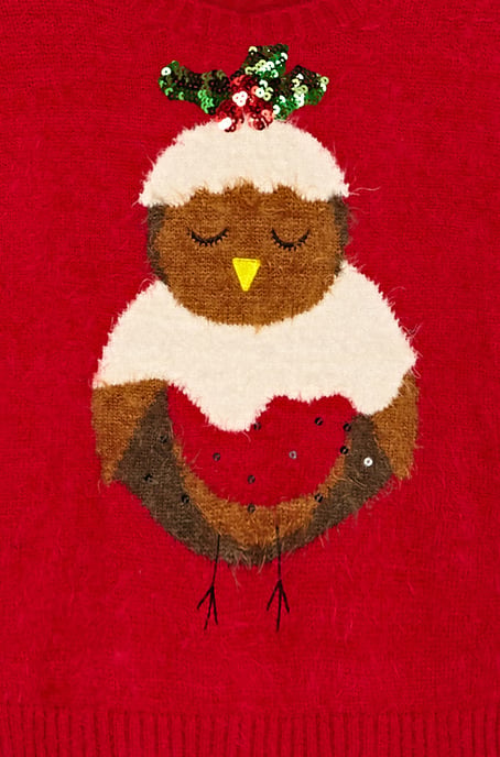 Pudding Robin Jumper