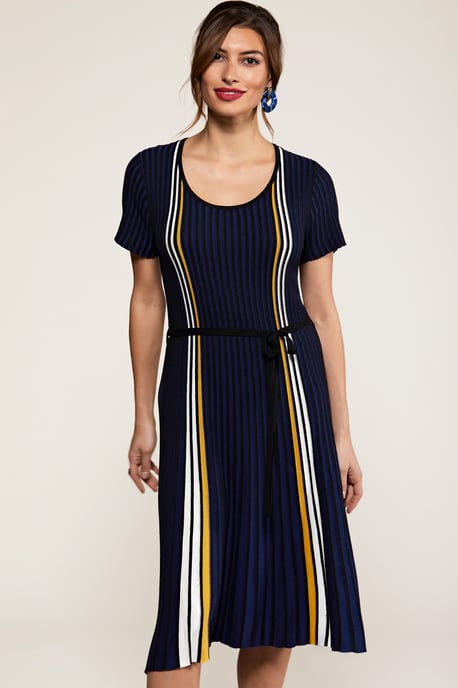 Navy Stripe Knit Pleated Dress
