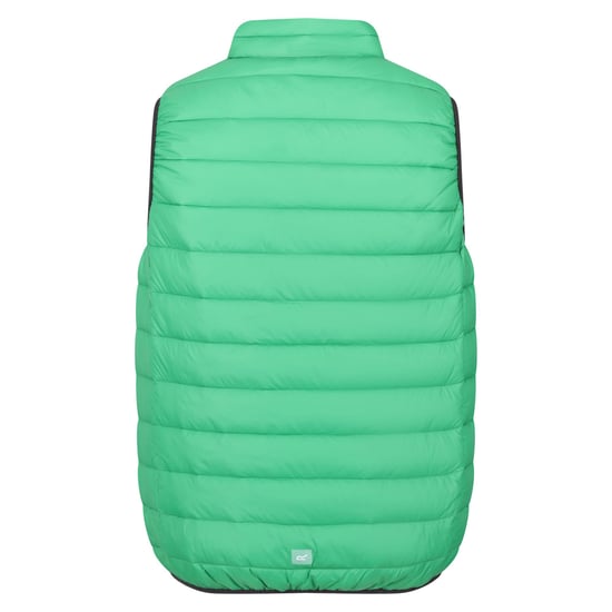 Regatta Mens Marizion Quilted Gilet (Field Green/Jasmine Green)