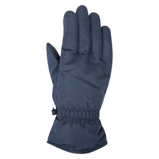Mountain Warehouse Dames/Dames Skihandschoenen (Marine) - Image 1