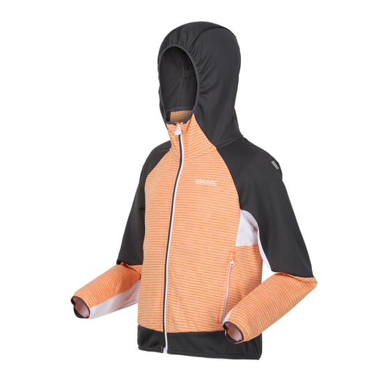 Regatta Childrens/Kids Prenton II Hooded Soft Shell Jacket (Apricot Crush/Seal Grey)