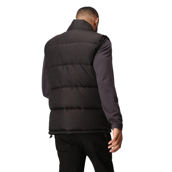 Regatta Mens Northdale Insulated Gilet (Black)