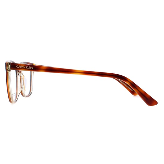 Calvin Klein Rectangle Unisex Brown Tortoise Glasses