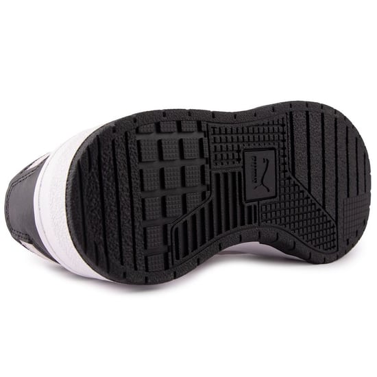 Puma Cali Dream Animal Trainers
