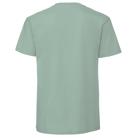 Fruit Of The Loom Heren Ringgesponnen Premium T-Shirt (Salie) - Image 2