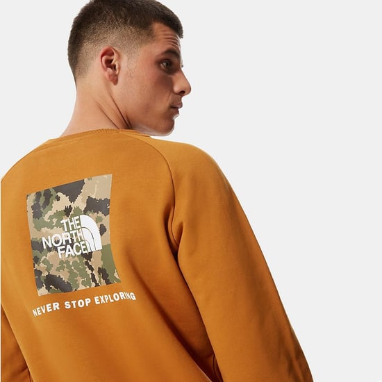 The North Face Raglan Back Box Heren Crewneck Sweatshirt Tan - Image 5