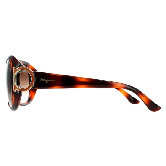 Salvatore Ferragamo Oval Womens Tortoise Brown Gradient Sunglasses