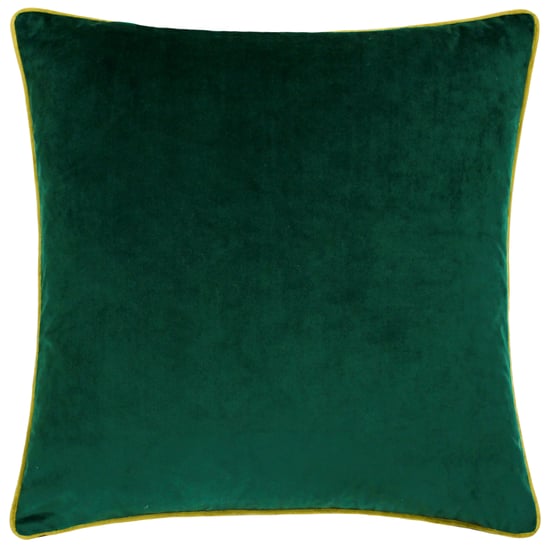 Paoletti Meridian Velvet Cushion